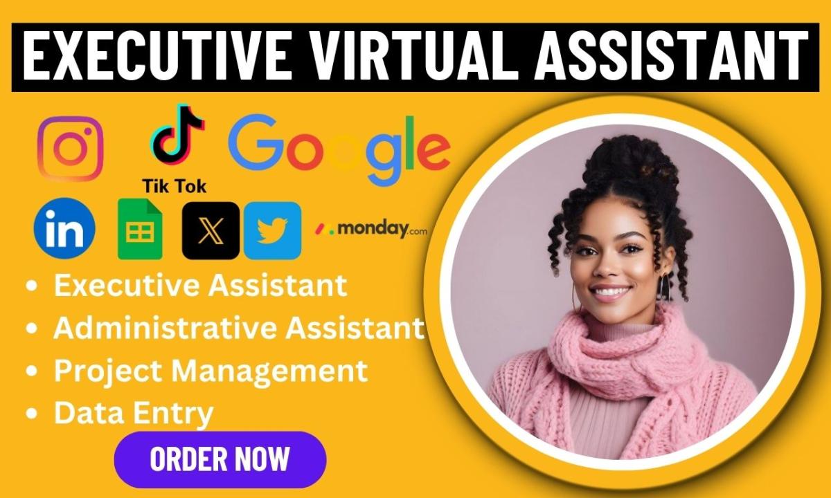 I will be Administrative Executive Virtual Assistant Social Media Manager Data Entry