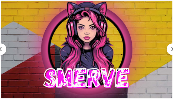 I will design animated stream overlay, Twitch overlay, Kick overlay, Twitch logo, banner panel