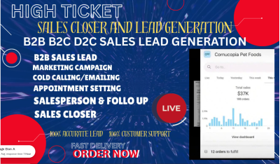 I will do sales closer online sales b2b sales lead high ticket sales representative