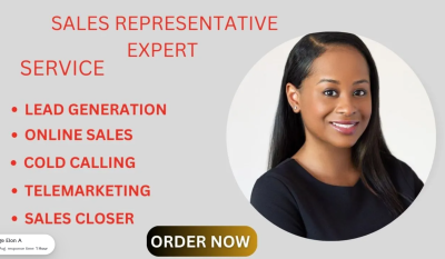 I will cold calling deal closer sales representative sales closer B2B high ticket sales