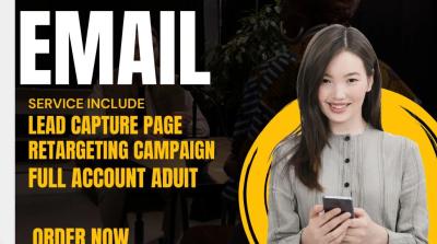 I will build retargeting campaigns that convert site visitors