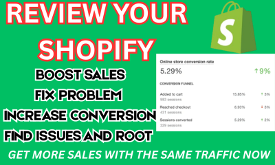 I Will Audit, Review, and Optimize Your Shopify Dropshipping Store