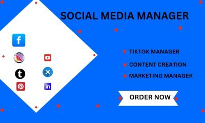 I will social media manager facebook, instagram, tiktok, youtube manager