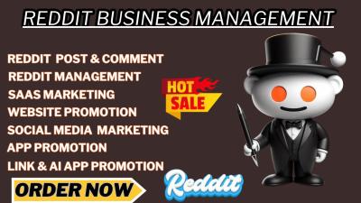 I will boost business AI website traffic, app, and product link via Reddit post