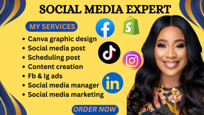 I will be your social media marketing manager, content creator and ads expert