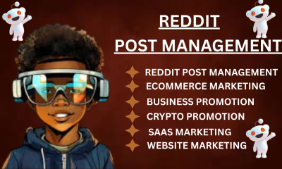 I will do Reddit post upvote for ecommerce business AI app crypto IPTV product website