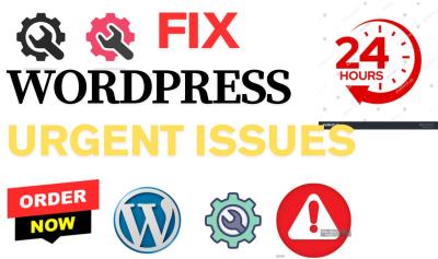 I Will Urgently Troubleshoot, Fix, Repair, and Redesign Website Errors or WordPress Website