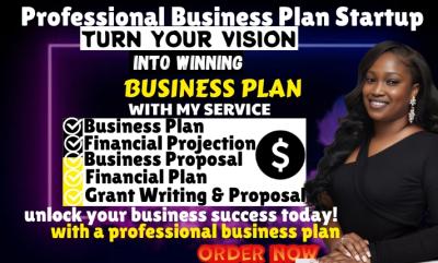 I will write SBA business plan for startup business plan writer