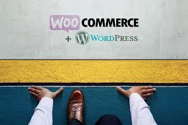 I will creer un site ecommerce utilisant la boutique en ligne WooCommerce