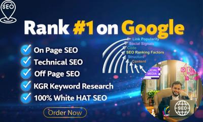 I will do monthly SEO service with top backlinks, on page, off page, link building
