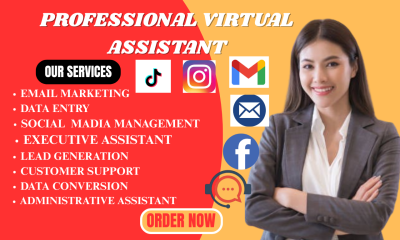 I will provide executive VA support and manage your social media content
