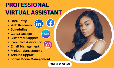 I Will Be Your Long Term Administrative Personal Executive Virtual Assistant