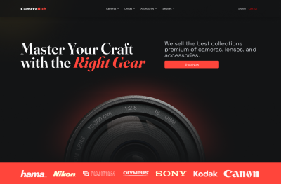 I will redesign a modern WordPress website for your business
