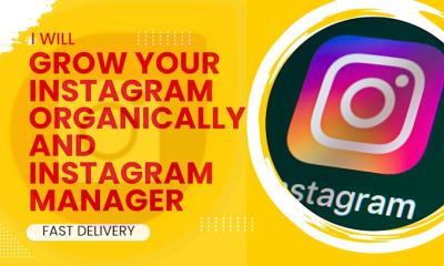 I will be your Social Media Marketing Manager | Instagram Marketing & Growth