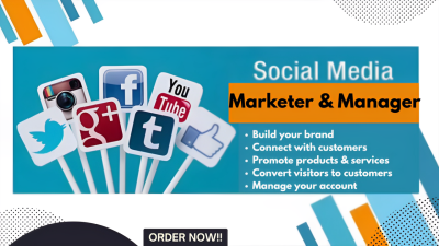 I will be your social media manager, Instagram marketing manager and Instagram growth