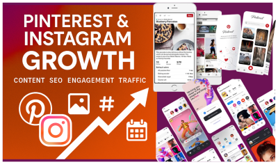 I Will Grow and Manage Your Pinterest and Instagram for Virtual Traffic and Sales