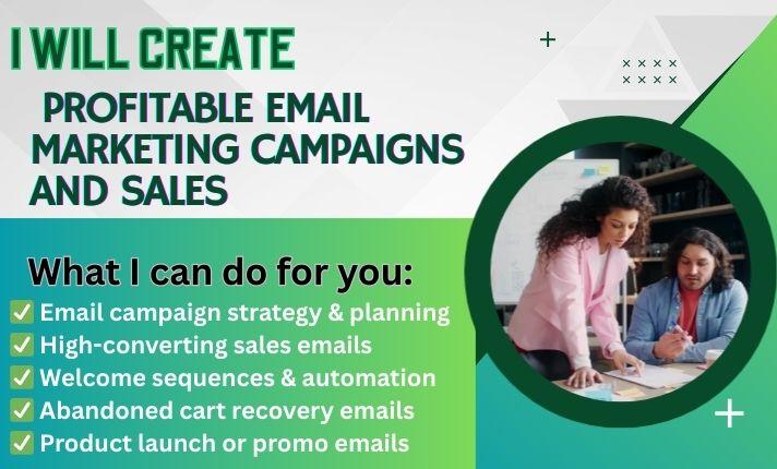I will set up your Mailchimp email campaign and Mailchimp email marketing