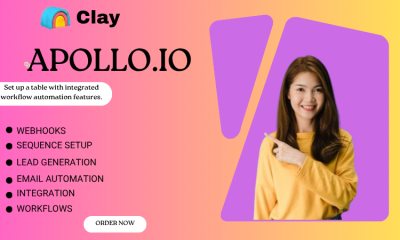 I Will Do Clay.com, Apollo.io, HubSpot CRM Workflow, and Automation