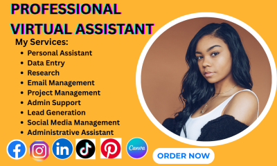 I Will Be Administrative Personal Executive Virtual Assistant & Social Media Manager