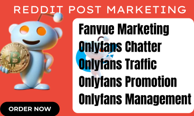 I will do Reddit Post Marketing for OnlyFans Chatter Traffic, Fanvue Management