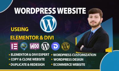 I will design, redesign, build, copy, clone, revamp WordPress Elementor Pro websites