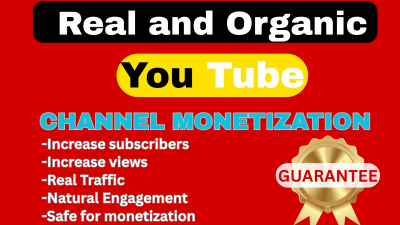 I will do complete YouTube shoutout, channel monetization video promotion organic view