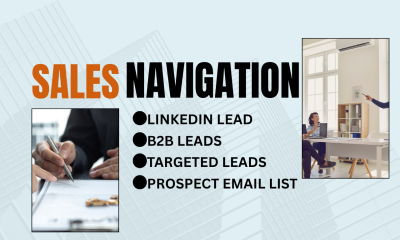I will be Sales Navigator Business Leads Targeted Outreach Strategy LinkedIn Lead