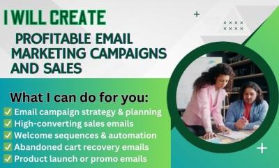I will set up your Mailchimp email campaign and Mailchimp email marketing