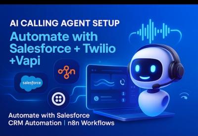 I will setup AI Salesforce VAPI, AI Calling Agent, n8n, Twilio VoIP, and Automation