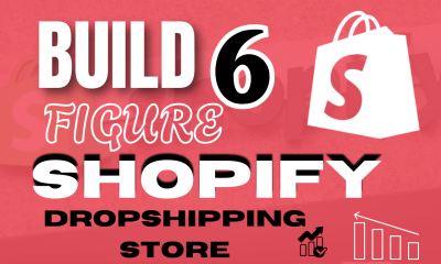 I Will Build 6-Figure Shopify Store or Dropshipping Ecommerce Store