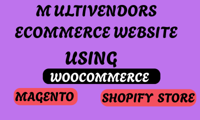 I will design a professional multi vendor ecommerce marketplace website