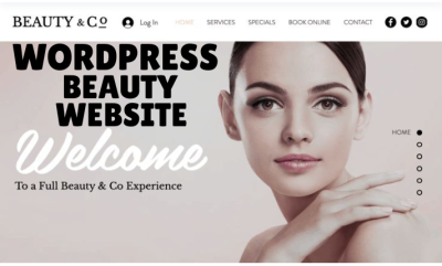 I will setup WordPress booking Calendly Acuity Scheduling Vagaro website