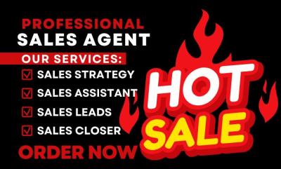 I will be USA UK high ticket sales closer b2b sales agent sales person telemarketer VA