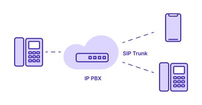 I will setup SIP trunk, DID number, Spoof API, Twilio IVR SIP trunk, inbound call, VoIP