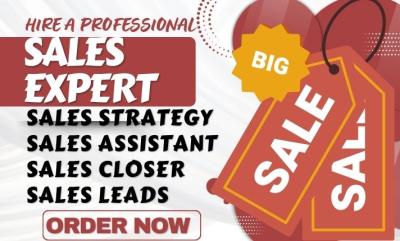 I will pharmaceutical sales person telemarketing virtual assistant commission sales