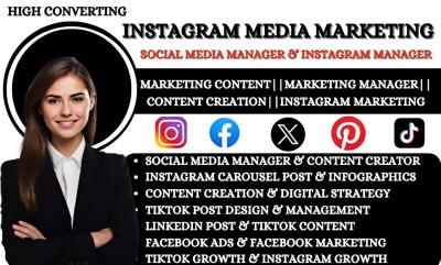 I will be your Instagram Marketing Manager, Social Media Manager, Instagram Growth