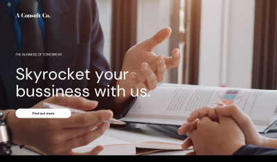 Professional Copywriter for Compelling Content That Converts
