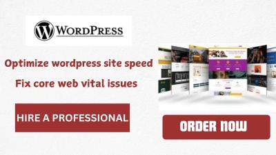 I Will Optimize WordPress Site Speed and Fix Core Web Vitals Issues