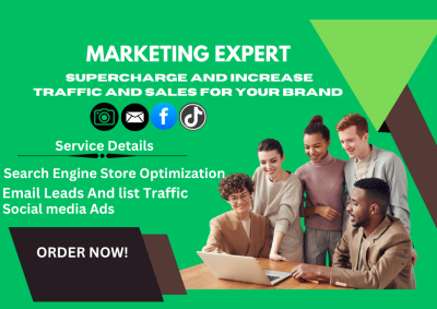 I will increase massive supercharge traffic and boost sales Shopify eCommerce marketing