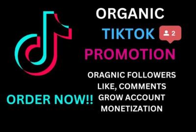 https://www.fiverr.com/s/qD3oqLg