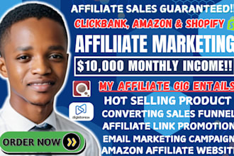 I will boost Amazon Affiliate Website Sales & ClickBank Affiliate Marketing Sales Funnel