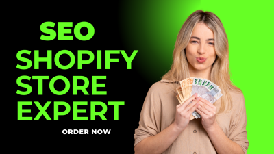 I Will Build Responsive Shopify, WordPress, and Design SEO Blog Websites