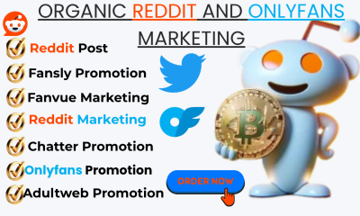 I will do Reddit post management for eCommerce, SaaS, Digital Products, AI, Crypto, Gaming