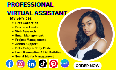 I Will Be Your Administrative Personal Executive Virtual Assistant for Social Media