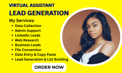 I will do data entry, admin support, copy paste, web research, lead generation, typing