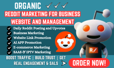 I will do Reddit post management, setup Discord server, gaming community, AI app promotion
