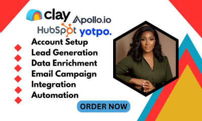 I will clay clay com workflow automation HubSpot CRM instantly AI cold email marketing