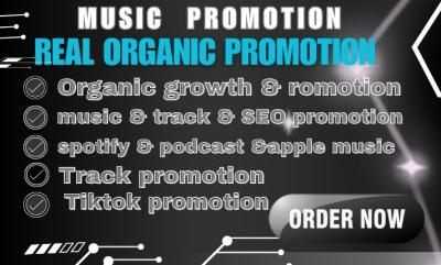 I will promote your SoundCloud music with premium organic promotion