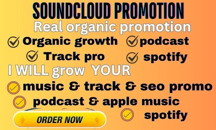 I will do Spotify, SoundCloud, Podcast with Organic SEO Blog Backlink on Top 10K US UK