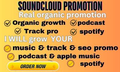 I will do Spotify, SoundCloud, Podcast with Organic SEO Blog Backlink on Top 10K US UK
